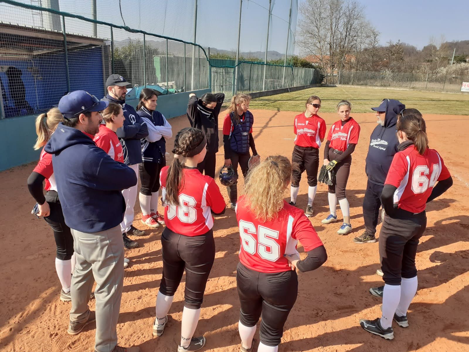 portamortara novara softball